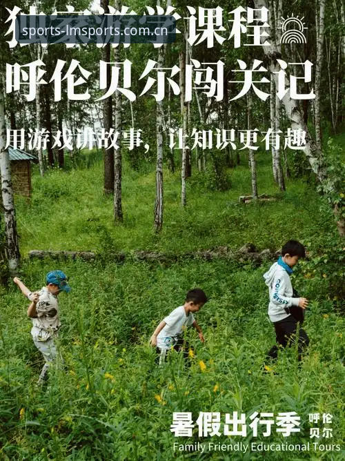 资深用户分享：LM体育官方正版渠道的长期使用心得与实战经验